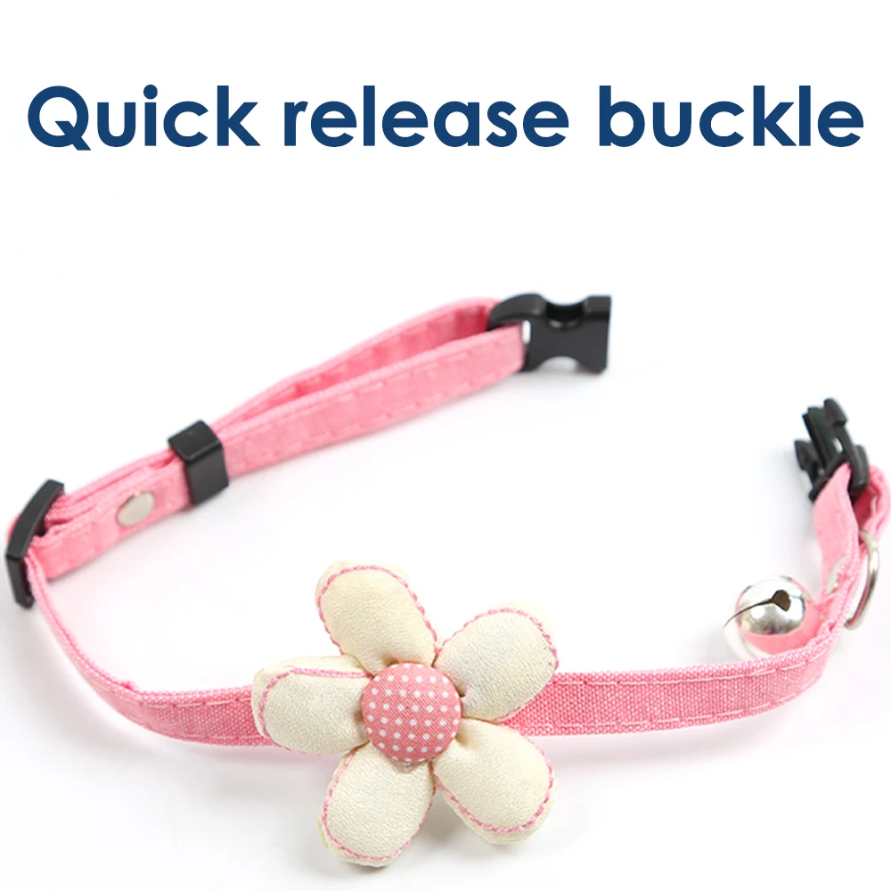 8603649924_1603477161