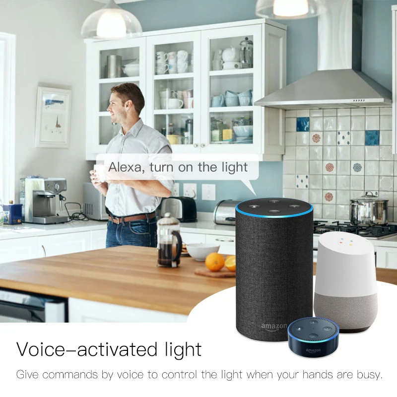 2 Way 2 Gang DIY WiFi Smart Light LED Dimmer Module Switch Smart Life/Tuya APP Remote Control Work with Alexa Google Home