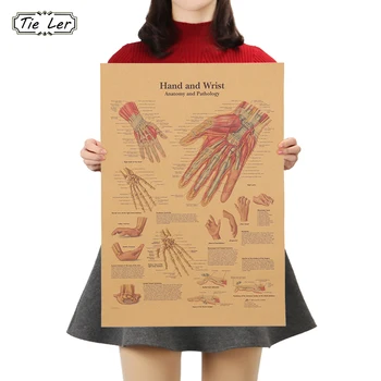 

TIE LER Retro Kraft Paper Human Structure Diagram Poster Cafe Bar Poster Decorative Painting Art Wall Stickers Home Decor