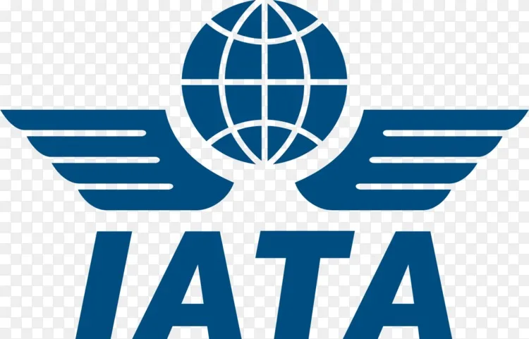 国际航空运输协会航空行业协会国际民用航空组织空运协会运营安全审计