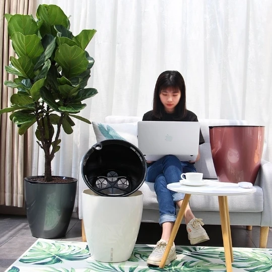 Since Water Uptake Imitation Metal Thickening Fruit Tree Large Botany Green Basket Get Rich Tree Flowerpot Deepen Oversize