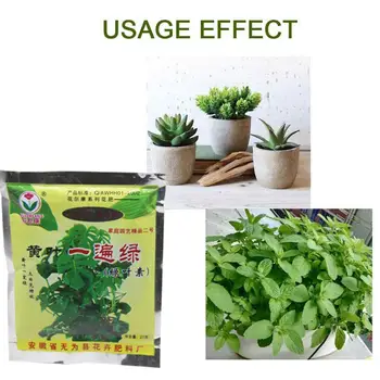 

20g Plant Foods For Treating Yellow Leaves Nutrition Leaves Bonsai Diseased For Yellow Control Garden Plant Leaflets R6P2