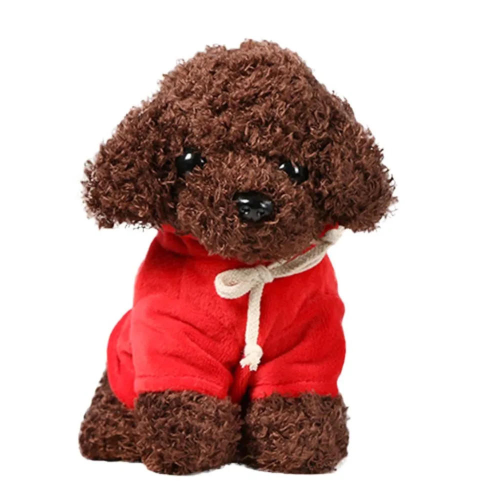 Teddy Dog Rag  (12)