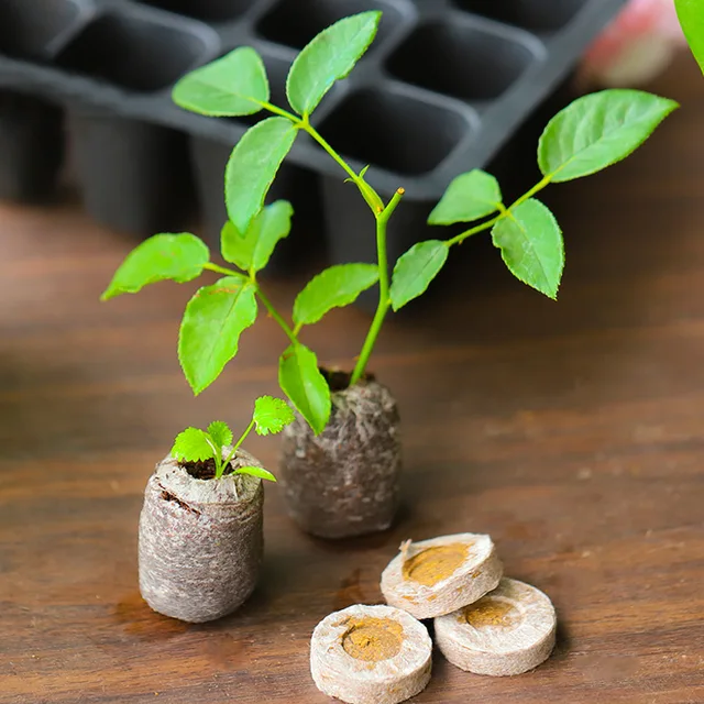 Újonnan 100 Db -Os Vetőmag Indító Dugók Palánták Talajblokk Mag Talaj Indítók - Image 6