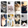 Mobile Phone Accessories
