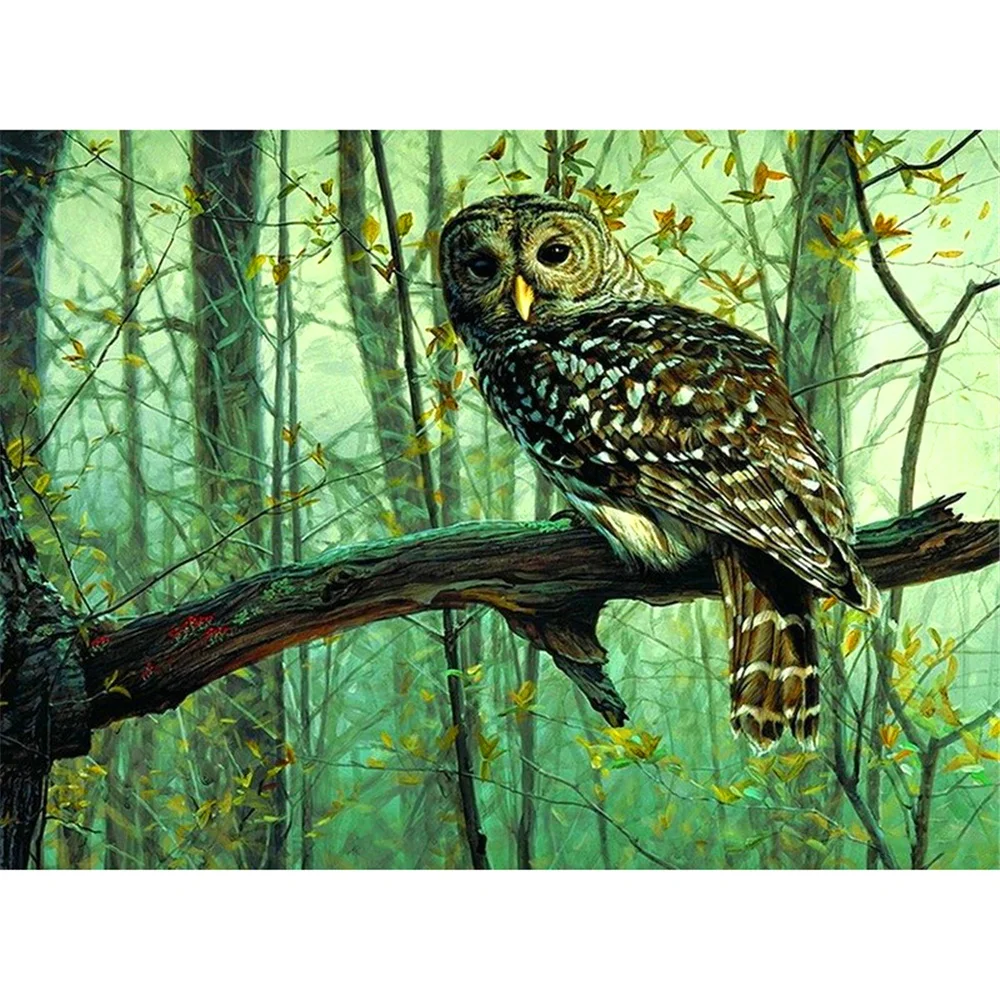 

The Lone Owl 40X50cm Painting By Numbers with Combo Inner Frame and Colorful Paper Box Package and Color Baselines Canvas