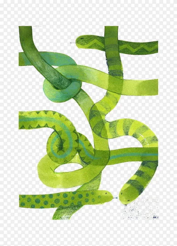 蛇绿色插图 绿色蛇图案png图片素材免费下载 图片编号 Png素材网