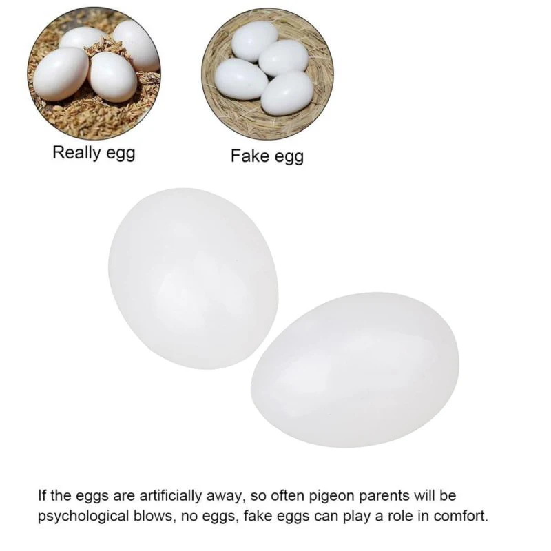 10Pcs/Lot White Solid Plastic Eggs Dummy Fake Eggs For Racing Homing Pigeons New