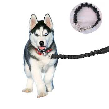 

Reflective Nylon Dog Extension Leash Heavy Duty Durable Elastic Walking Running Extension Lead for Small and Medium Dogs (Black)