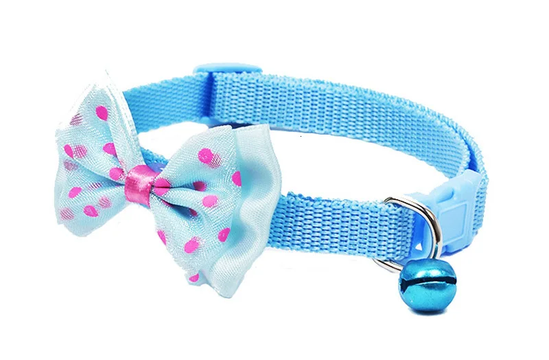 blue dog collar
