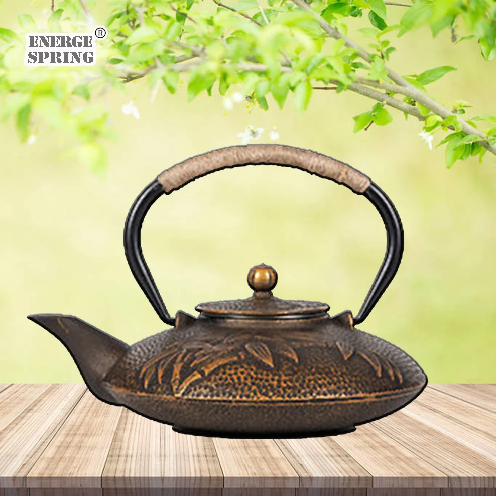 ENERGE SPRING 800ML Cast Iron Teapot Japanese-style Boiling Kettle Beauty  Health Pig Iron Boiling Water Pot Retro Tea Set - AliExpress