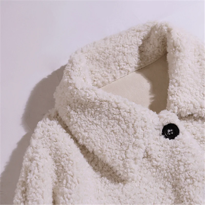 New Lamb Fur Jacket Women's Short Winter Korean Loose Plush Fur One-piece Top Thick Faux Fur Fashion Wild Casual Simple