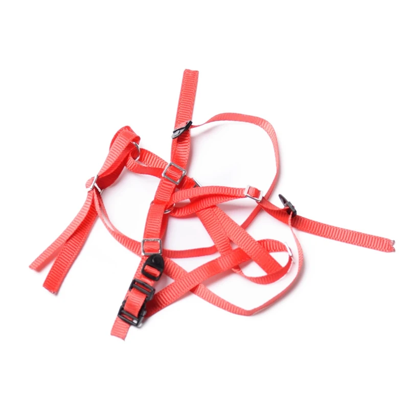 

RC Crawler Spare Tire Wheel Anti-Slip Belt for RC Car Traxxas Axial SCX10 RR10 90050 TRAXXAS UDR LOSI BAJA 1PCS