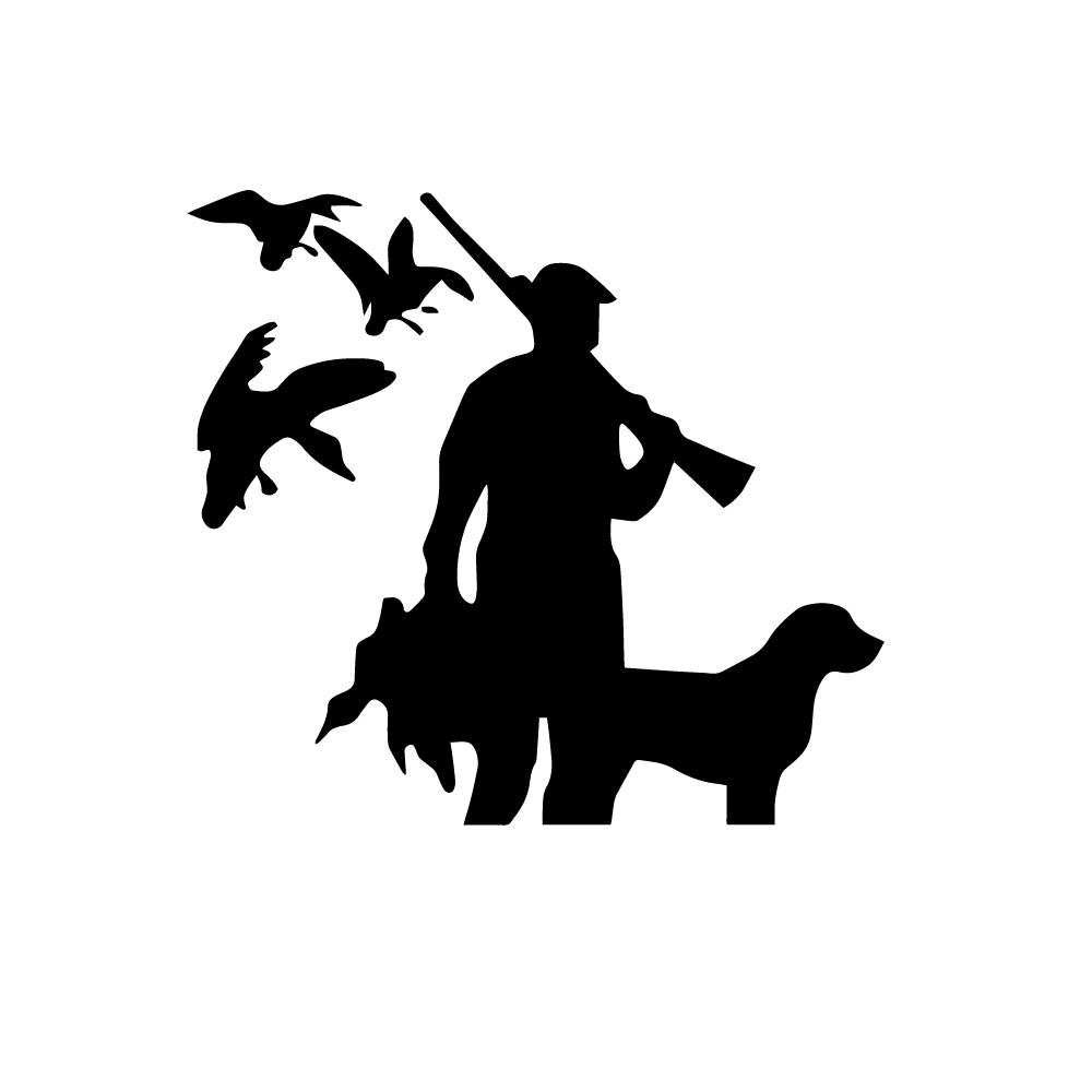 car179-01