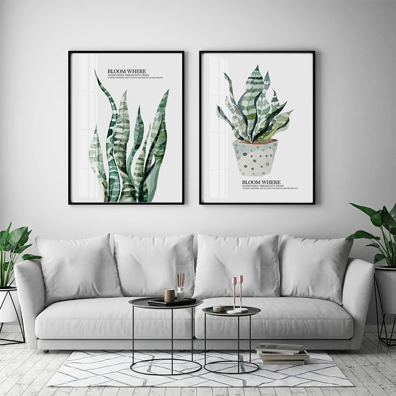 O1CN01ZwxOIU201PR5WRf0X_!!308486789