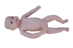 Modelo avanzado de bebé de luna llena (niña), modelo de bebé agrandado