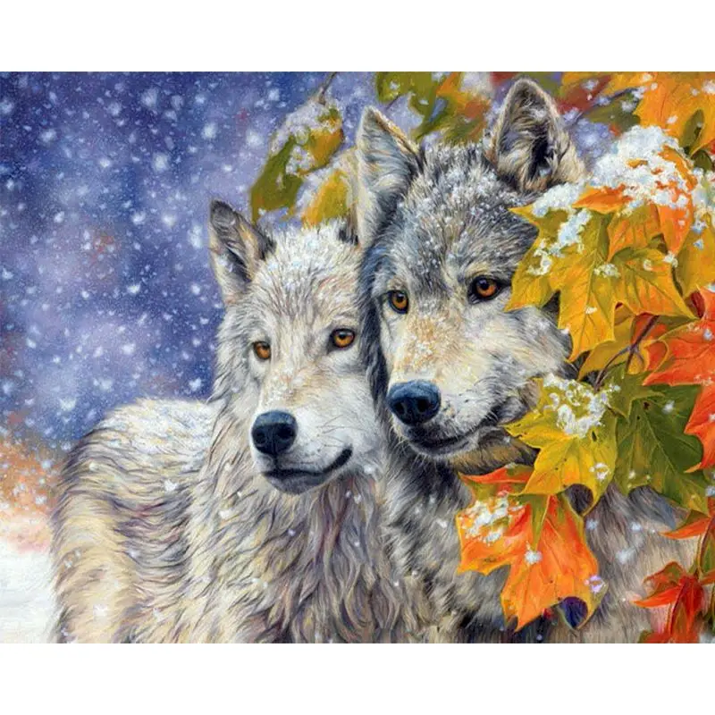 

SELILALI Two Wolf Animal Picture By Numbers Kits For Kids Diy Framed On Canvas HandPainted Wall Decoration Painted Unique Gift