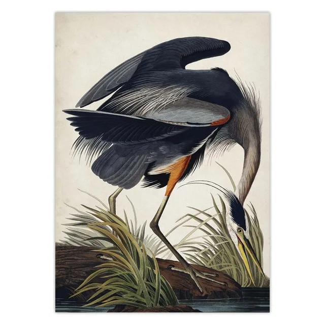 Vintage-Bird-Audubon-Bird-Posters-Pink-Flamingo-Snowy-Owl-Blue-Heron-White-Egret-Painting-Wall-Art.jpg_.webp_640x640 (2)