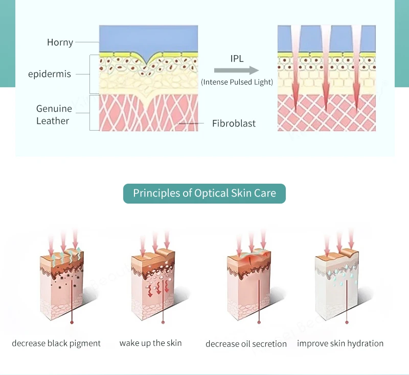 金色英文整体_10