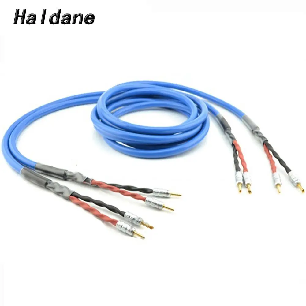 

Haldane pair HIFI Banana BFA plug OFC LS-180 G5 Amplifier CD DVD Loudspeaker Speaker Cable Audiophile Speaker Cable Wires