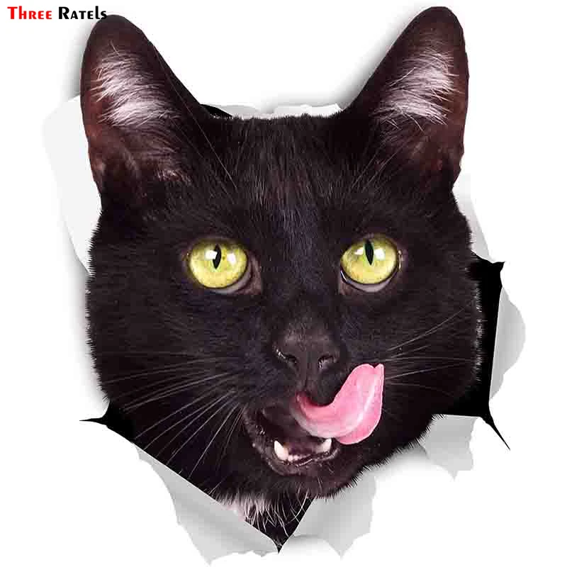 black cat sticker