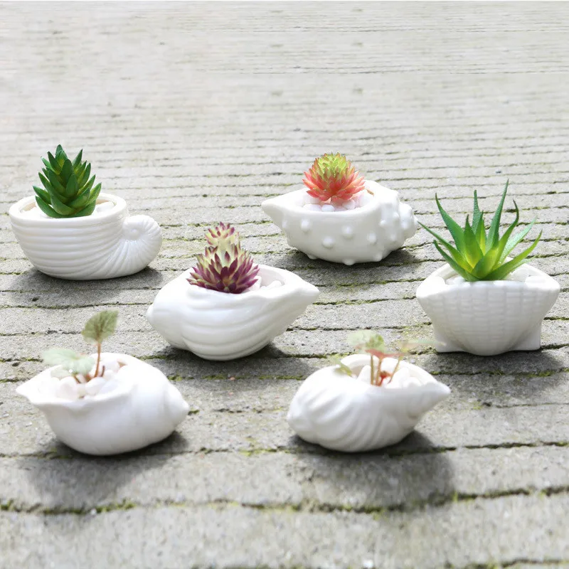 

6 Pieces of Creative Mini Fleshy Flower Pot White Shell Conch Ocean Succulent Flower Pot Ceramic Table Decoration Decoration