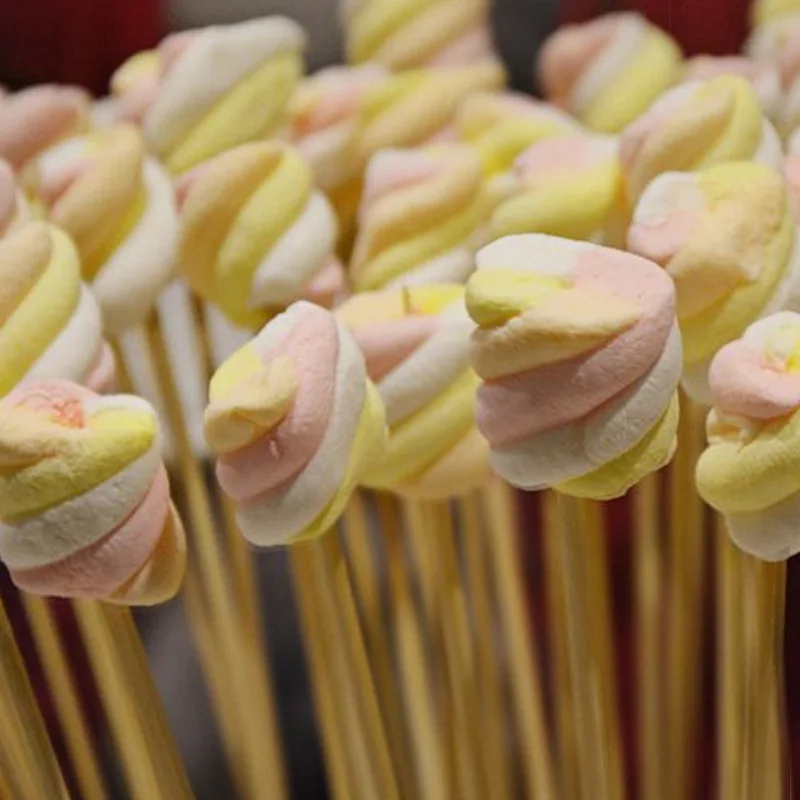 Sturdy Bamboo Skewer Sticks BBQ Fruit Shish Kebab Natural Wood 25cm Sticks Barbecue Stick barbecue skewers bbq grilling accessories