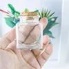 Small Square Bottle With Corks Clear Square Empty Glass Bottles glycyrrhiza sweets Food Grade Seal 50ml Jars Vials 24pcs 4