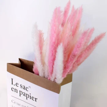 

Dried Flowers 20pcs/bunch Natural Dry Reed Branch,Display Floral For Home Marriage Wedding Favor DIY gift Box Flower Decor