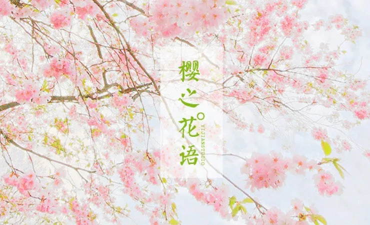 O1CN01cr73Po1CAoiRn4rh3_!!3016620041