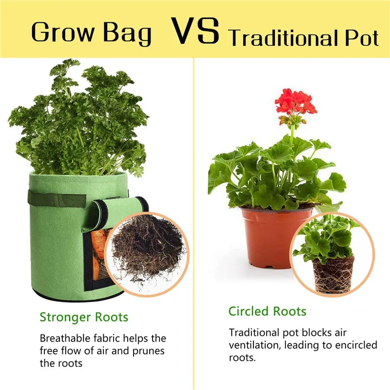Plant Grow Bag (1)