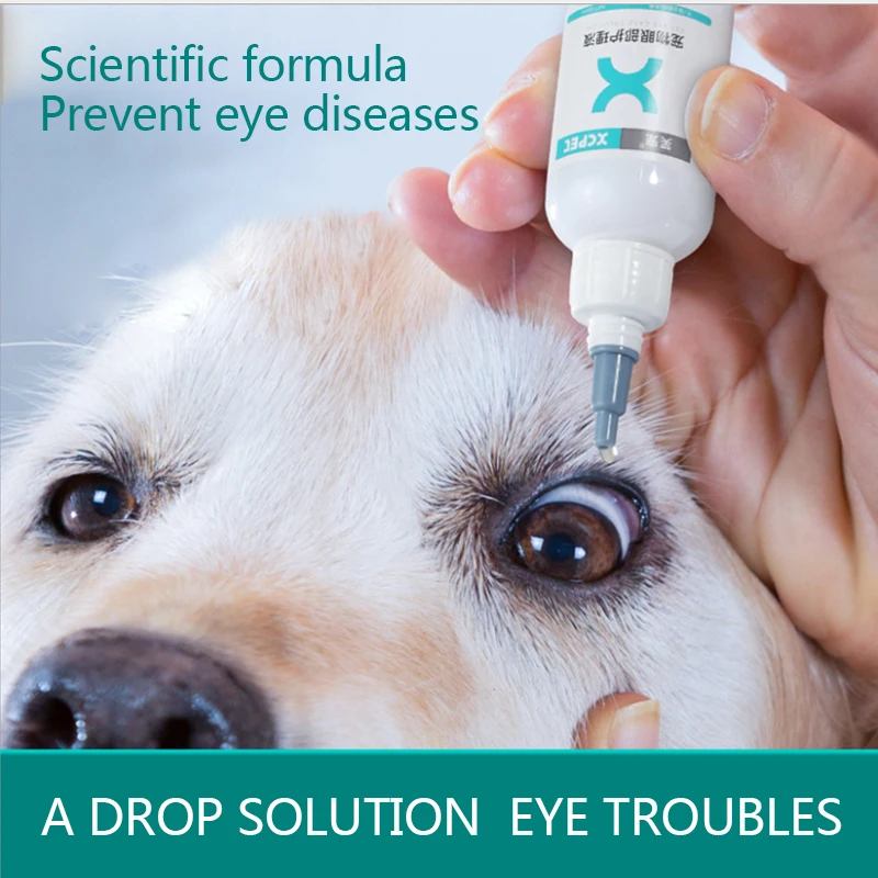 Dog Eye Drops For Infection corona.dothome.co.kr