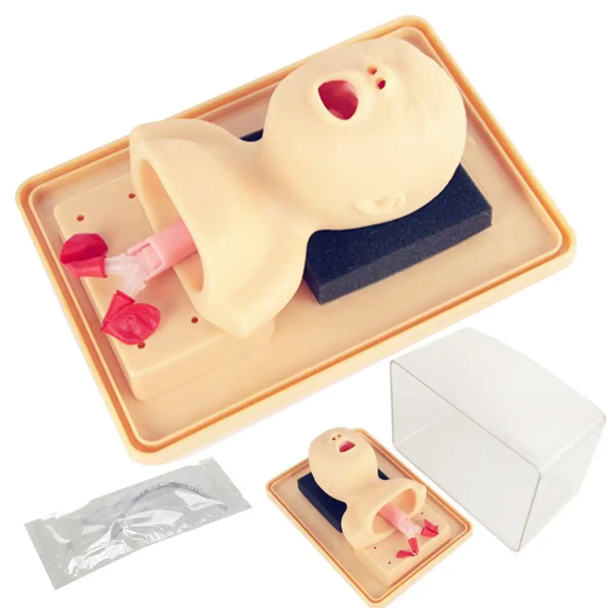 

Intubation Manikin Study Teaching Baby Infant Model Airway Management Trainer Medical Model For School Teaching Stationery Set