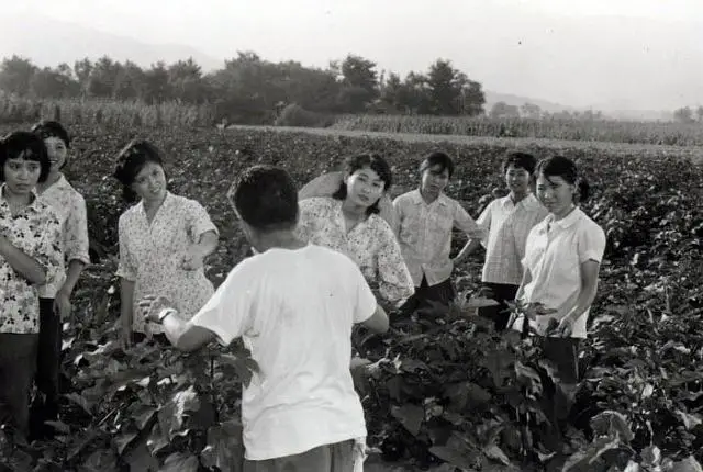 车水马龙完整版全集在线观看