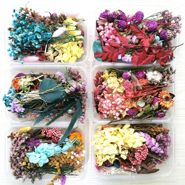 1Bag Natural Dried Flower For Aromatherapy Candle Making Epoxy Resin  Jewelry Dry Plants Dried Flowers Making Craft Accessories