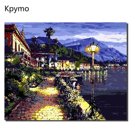 VA-0376 Современные цветы безрамный пион DIY Краска ing по номерам настенные картины Акриловая Краска уникальный подарок для домашнего декора 40x50 см - Цвет: VA-0376