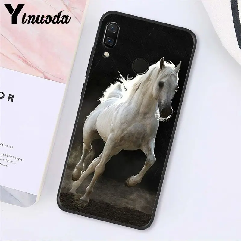 Running Horse Animal