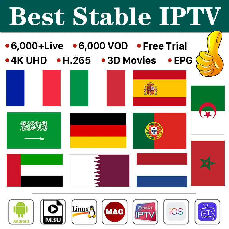 IPTV Subscription France Spain Germany Sweden Italy Netherlands Smart IPTV Code Belgium Netherlands IPTV Android Mag M3u IP TV
