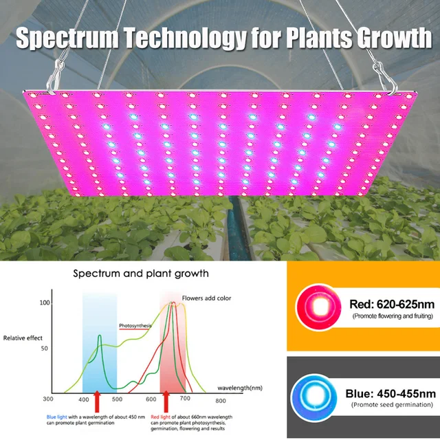 LED Plant Grow Light 1000W/2000W Full Spectrum Hydroponic Growing Lamp Plants Phyto Veg Flower Indoor Ultrathin Panel Phytolamp 4