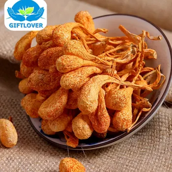 

Top Grade Dry Cordyceps Mushroom,Original Cordyceps mycelium,Cordyceps Flower,High Quality & Natural with Free shipping