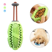 Interactive Rubber Chew Toy