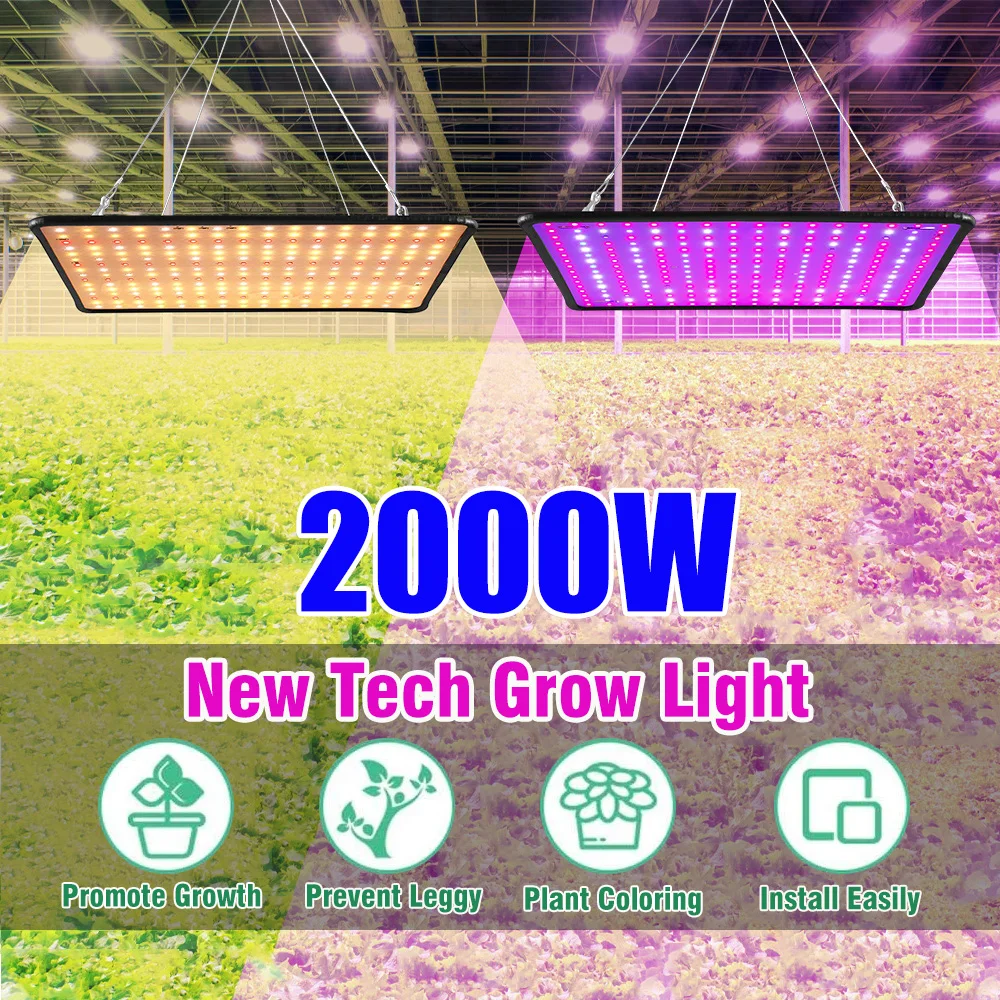 Luz LED de 2000W para cultivo de plantas, lámpara de espectro completo, luz solar Natural, Panel Phyto para plantas de interior, flores, verduras, crecimiento