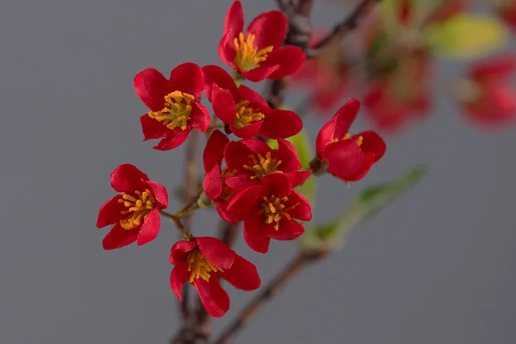 桃花枝 红色_02.jpg