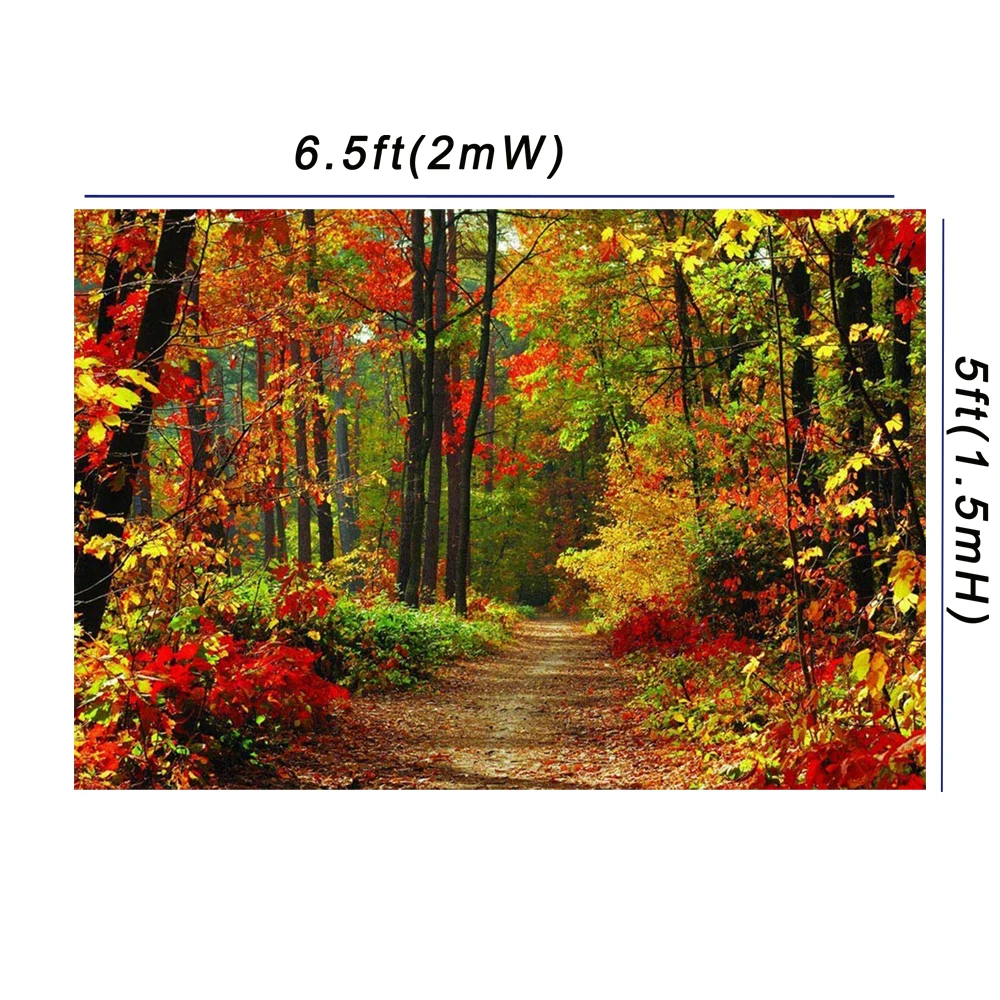 Autumn Forest Landscape Background Fall Colors Footpath Backdrop Pleasant Woods Banner Portrait Photo Studio Wallpapers Poster Background Aliexpress Autumn Forest Landscape Background Fall Colors Footpath Backdrop Pleasant Woods Banner Portrait Photo Studio Wallpapers Poster Background Aliexpress