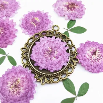 

60pcs Pressed Dried Notoseris psilolepis Shih Flower Plant Herbarium For Jewelry Postcard Bookmark Invatation Card DIY Makin