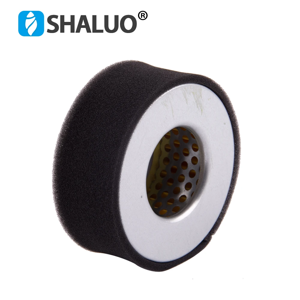 170F 178F Air Filter (5)