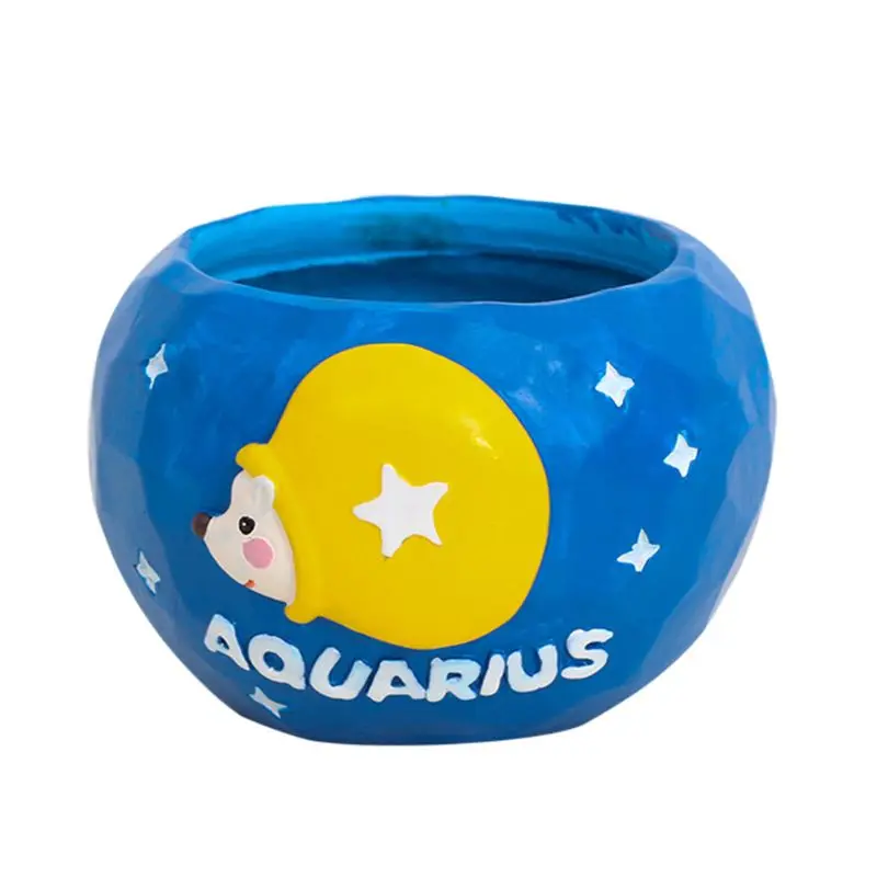 12 созвездий сочные Смола комнатные горшечные растения - Цвет: Aquarius