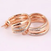 Оригинальные круглые серьги с кристаллами в виде роз для женщин, 925 пробы серебряные серьги, свадебный подарок, ювелирные изделия в европейском стиле