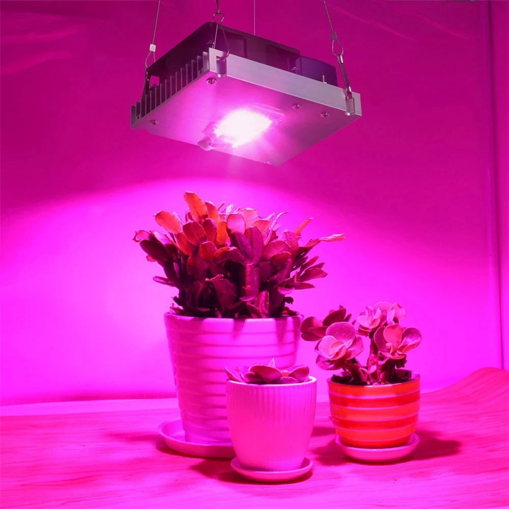 koloni mild Bevægelig Estufas De Luz Lâmpadas De Crescimento | Full Spectrum Led Grow Lights  Tomatoes - Growing Lamps - Aliexpress