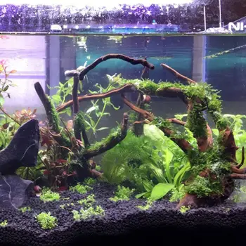 

Plus Size Aquarium Sinking Wood Rhododendron Landscaping Wood Grass Tank Decoration Natural Habitat Root Climbing Pet